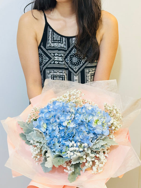 Hydrangea- Helena
