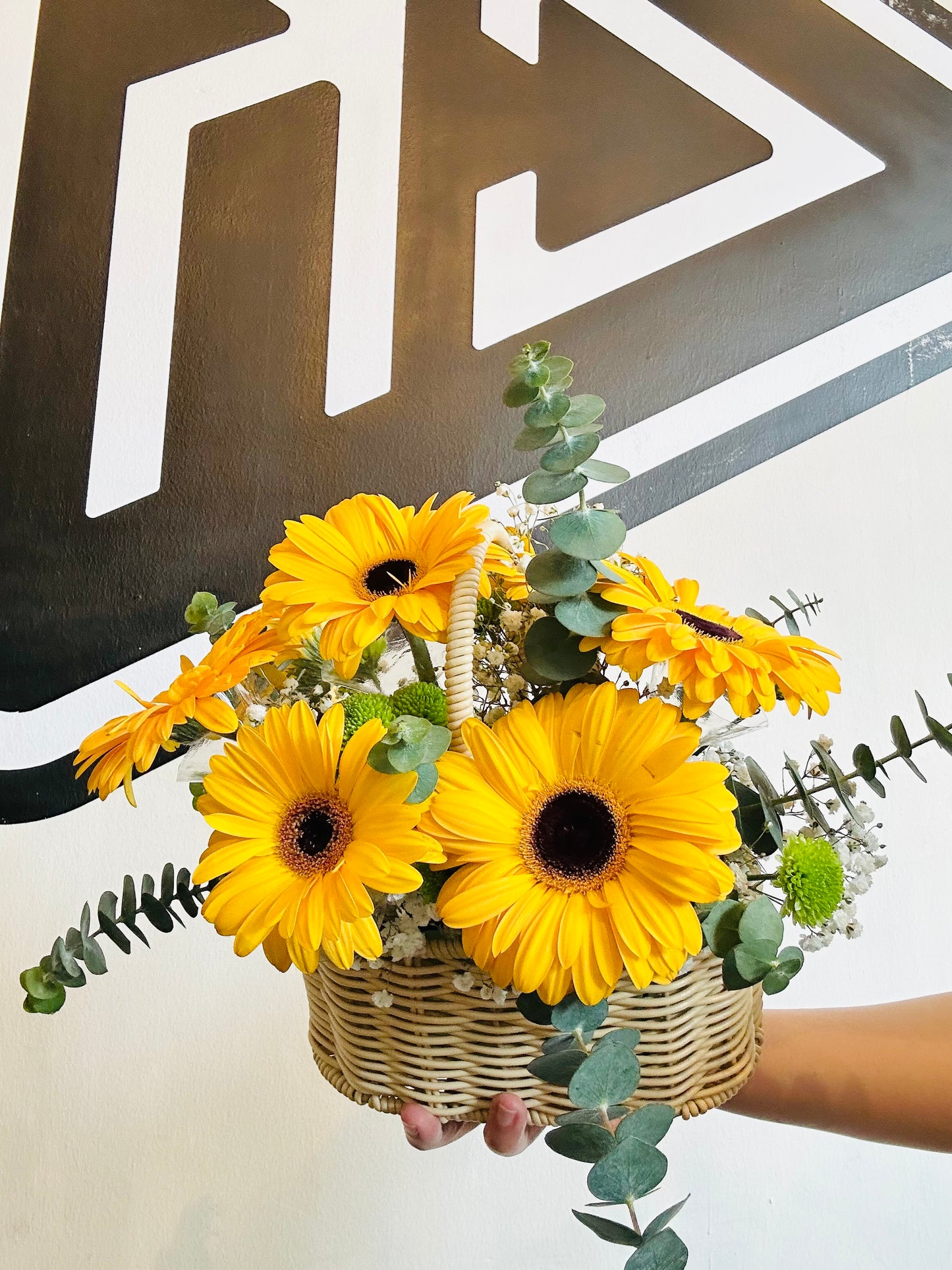 Sunburst Daisy